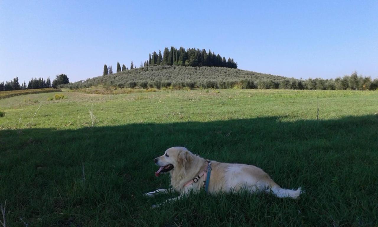 Dolce Cuore Luxe Apartment Chianti Florence Male Romantyczne Mieszkanie San Donato in Poggio Ngoại thất bức ảnh