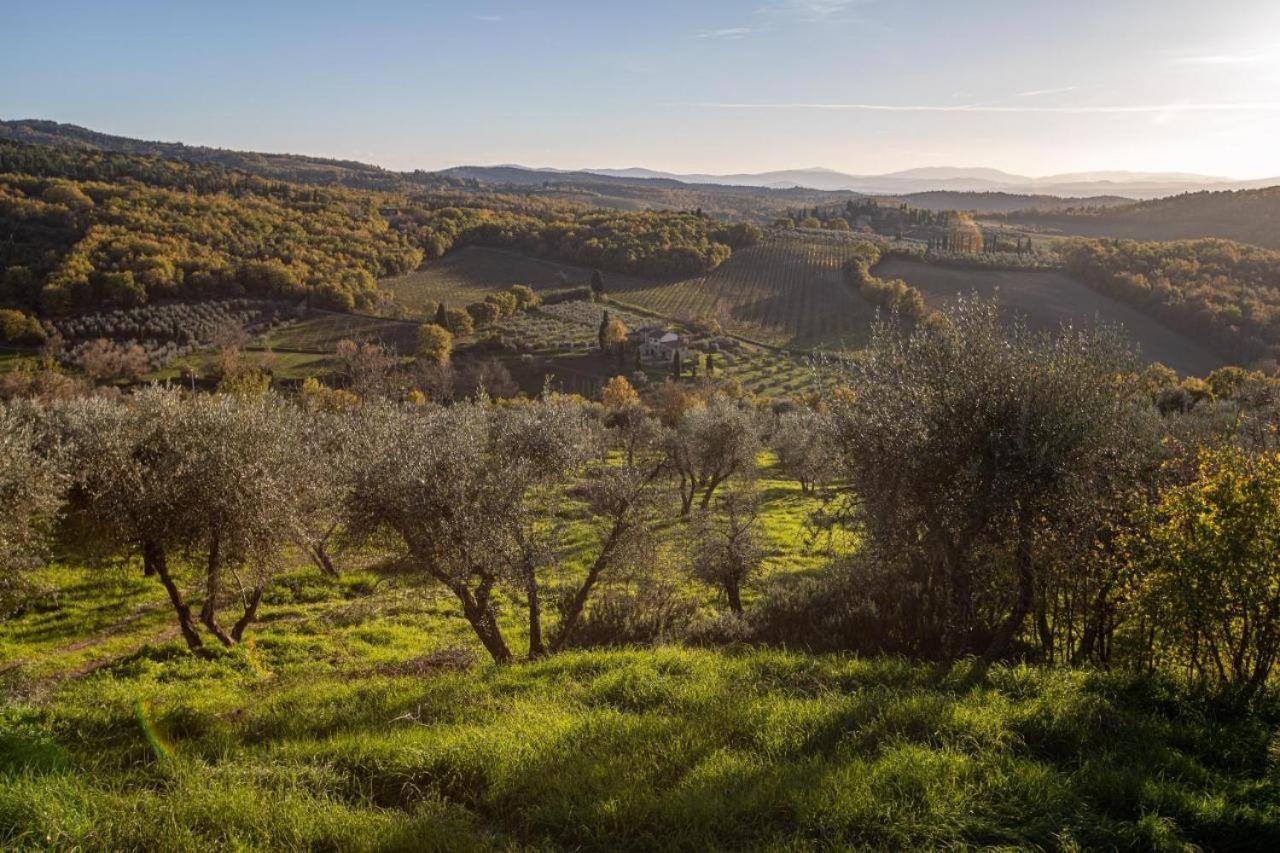 Dolce Cuore Luxe Apartment Chianti Florence Male Romantyczne Mieszkanie San Donato in Poggio Ngoại thất bức ảnh